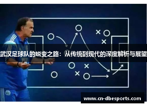武汉足球队的蜕变之路：从传统到现代的深度解析与展望